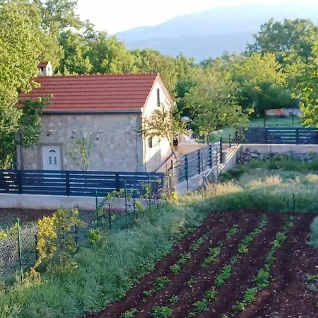 Villa House Maja *