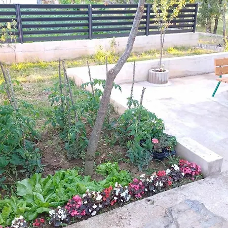 House Maja